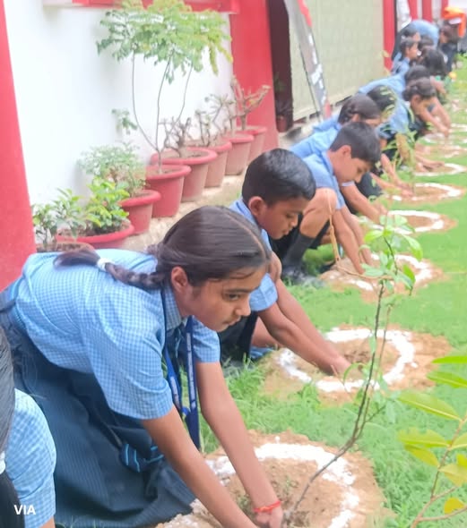 HINDUSTAN TIMES ORGANIZED A PLANTATION DRIVE