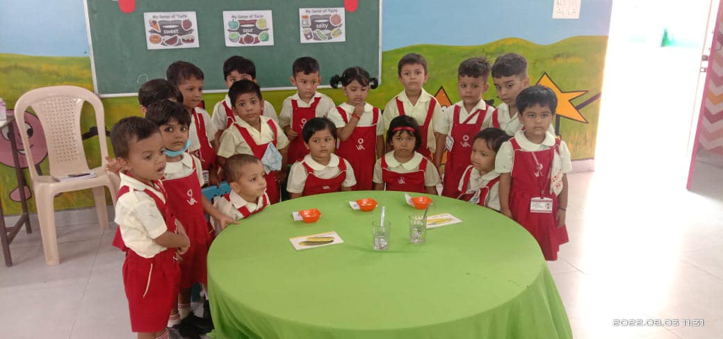 Sweet Salty and Sour Activity